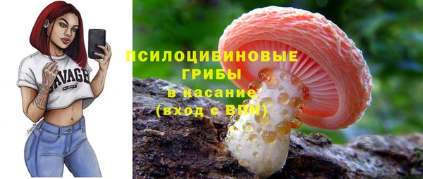 дурь Алексеевка